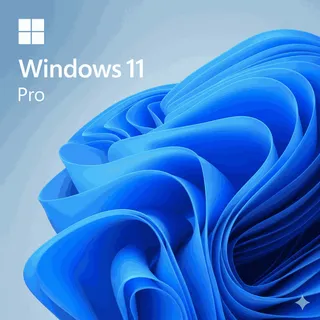 windows 11 pro