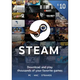 $10.00 USD Steam