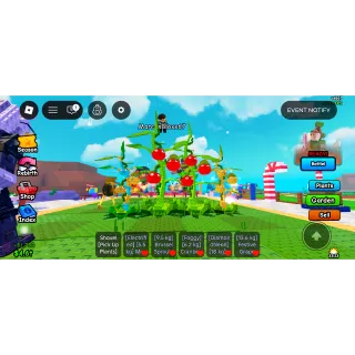 Op tomatrio bundle (4)