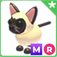 Mega ride Siamese cat