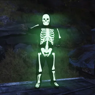 Glowing Skeleton Set