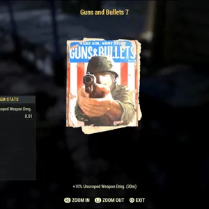 500 Guns and Bullet 7