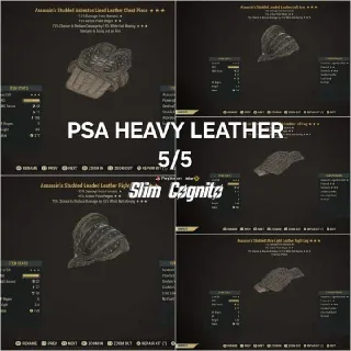 PSA Heavy Leather Set