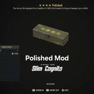 5x Polished Mod