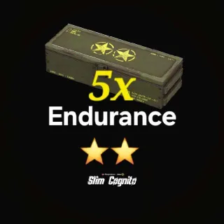 ⭐️⭐️ Endurance Mods