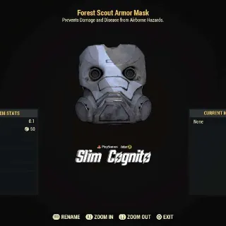 Legacy Reverse FSA Mask