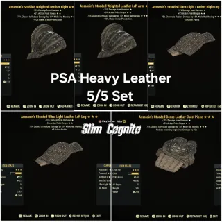 PSA Heavy Leather Armor Set