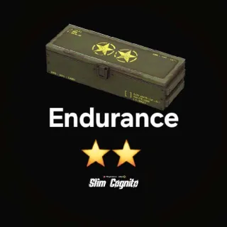 5x Endurance Mod