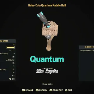 Quantum Paddle Ball