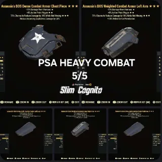 PSA Heavy Combat 5/5 PVP Armor Set