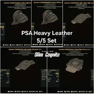 PSA Heavy Leather 5/5 PVP Armor Set