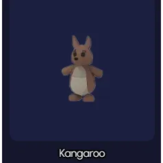 Kangaroo R