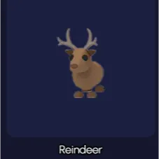 Reindeer NFR
