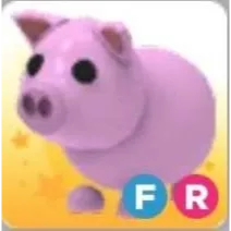 Pet | FR Pig