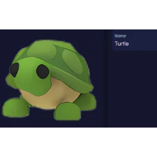 Turtle NFR