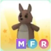 Pet | Kangaroo MFR