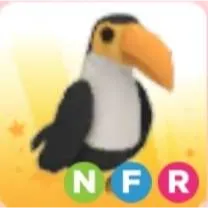 Pet | NFR Toucan