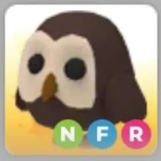 Owl NFR