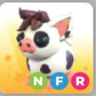 NFR Mini Pig