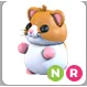 hamster NR