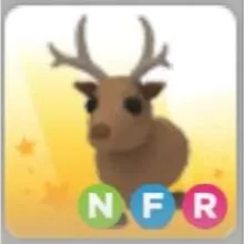 Pet | Reindeer NFR