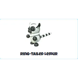 Ring-tailed lemur R