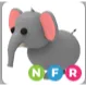 elephant NFR