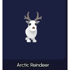 Arctic Reindeer FR