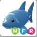 shark NFR