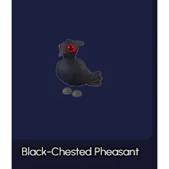Black-chested Pheasant R