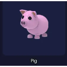 Pig R x4