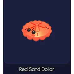 Red Sand Dollar