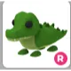 crocodile R 