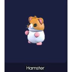 Hamster x4
