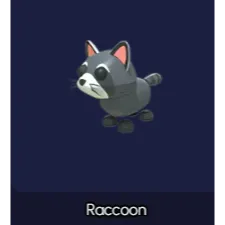 Raccoon MEGA