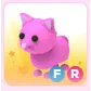 Pink cat FR