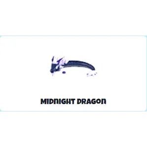 midnight dragon R