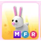 Bunny MFR