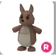 kangaroo R