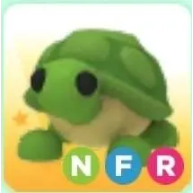 Pet | Turtle NFR