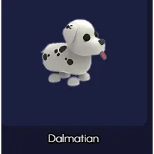 Dalmatian FR