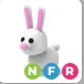 bunny NFR