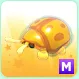 Golden Tortoise beetle MEGA
