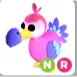 dodo NR