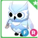 snow owl FR