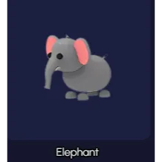ELEPHANT R