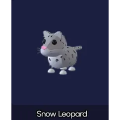Snow leopard NR
