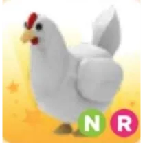 Pet | Chicken NR