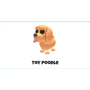 Toy poodle MEGA