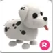 dalmatian R